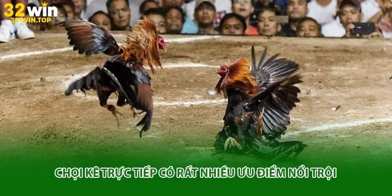 Chọi kê trực tiếp có rất nhiều ưu điểm nổi trội
