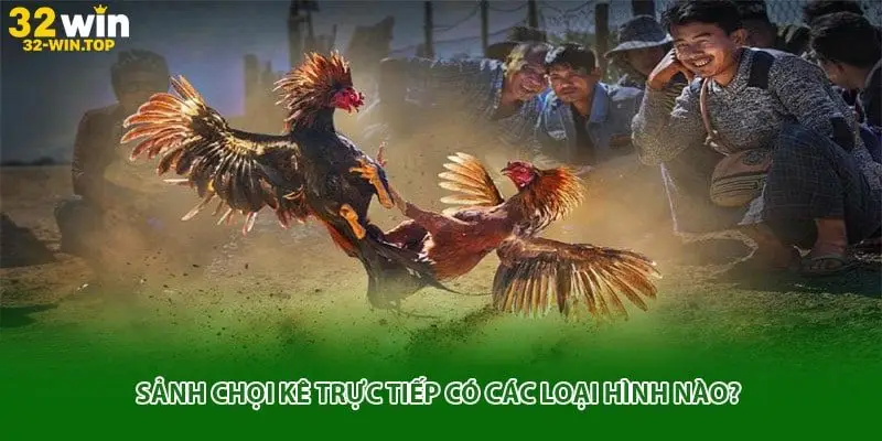 Sảnh chọi kê trực tiếp có các loại hình nào?