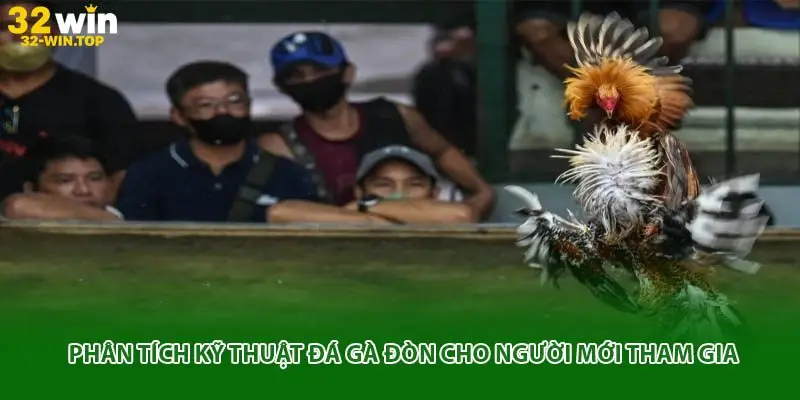 Đá gà đòn